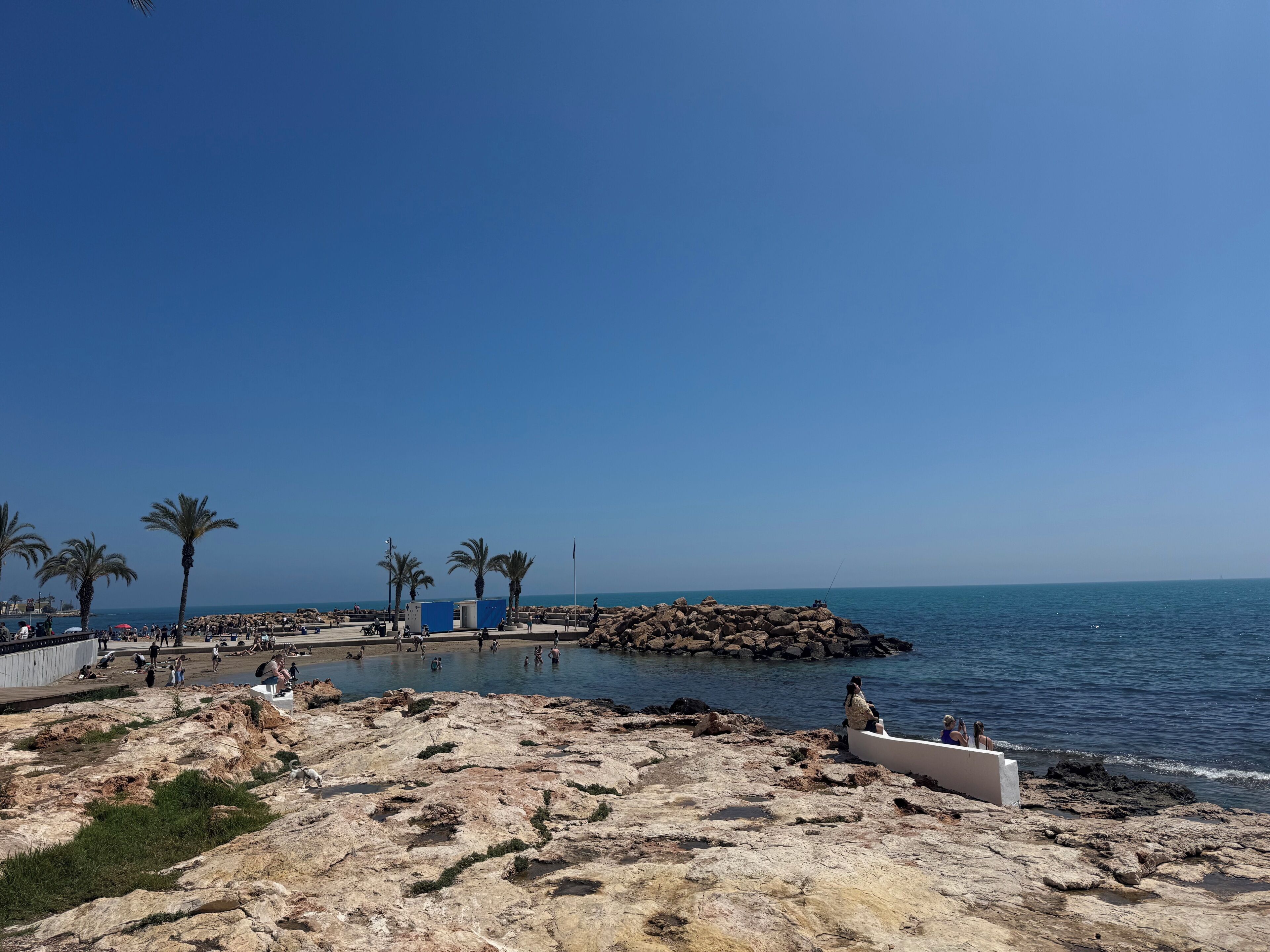 A rocky beach with palm trees, a rocky breakwater, and a calm sea.