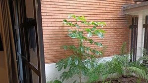 Une cour avec un mur en briques, un pot de fleurs et une zone dallée de pierres.