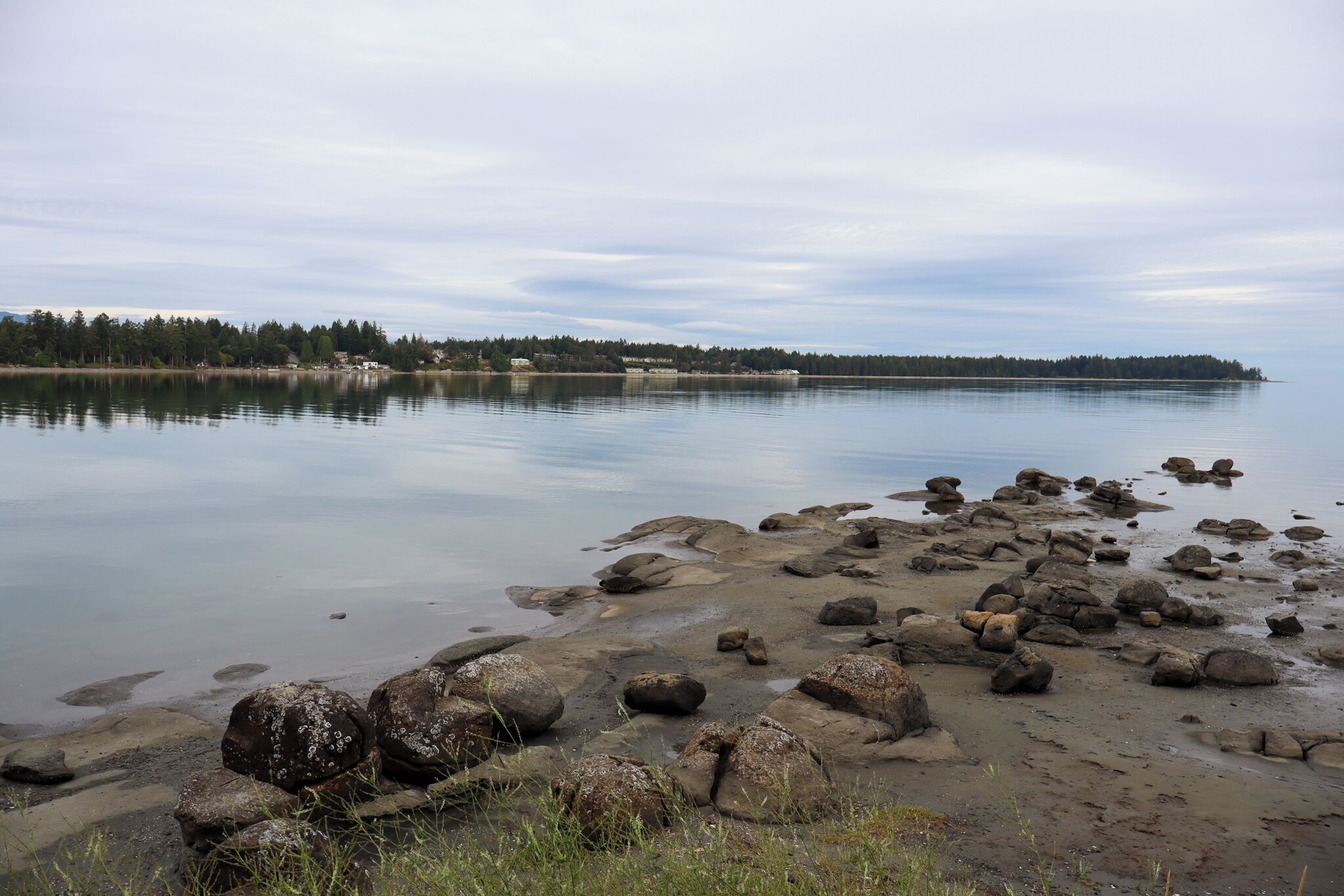 A calm lake with a rocky shoreline and a forested island in the distance.