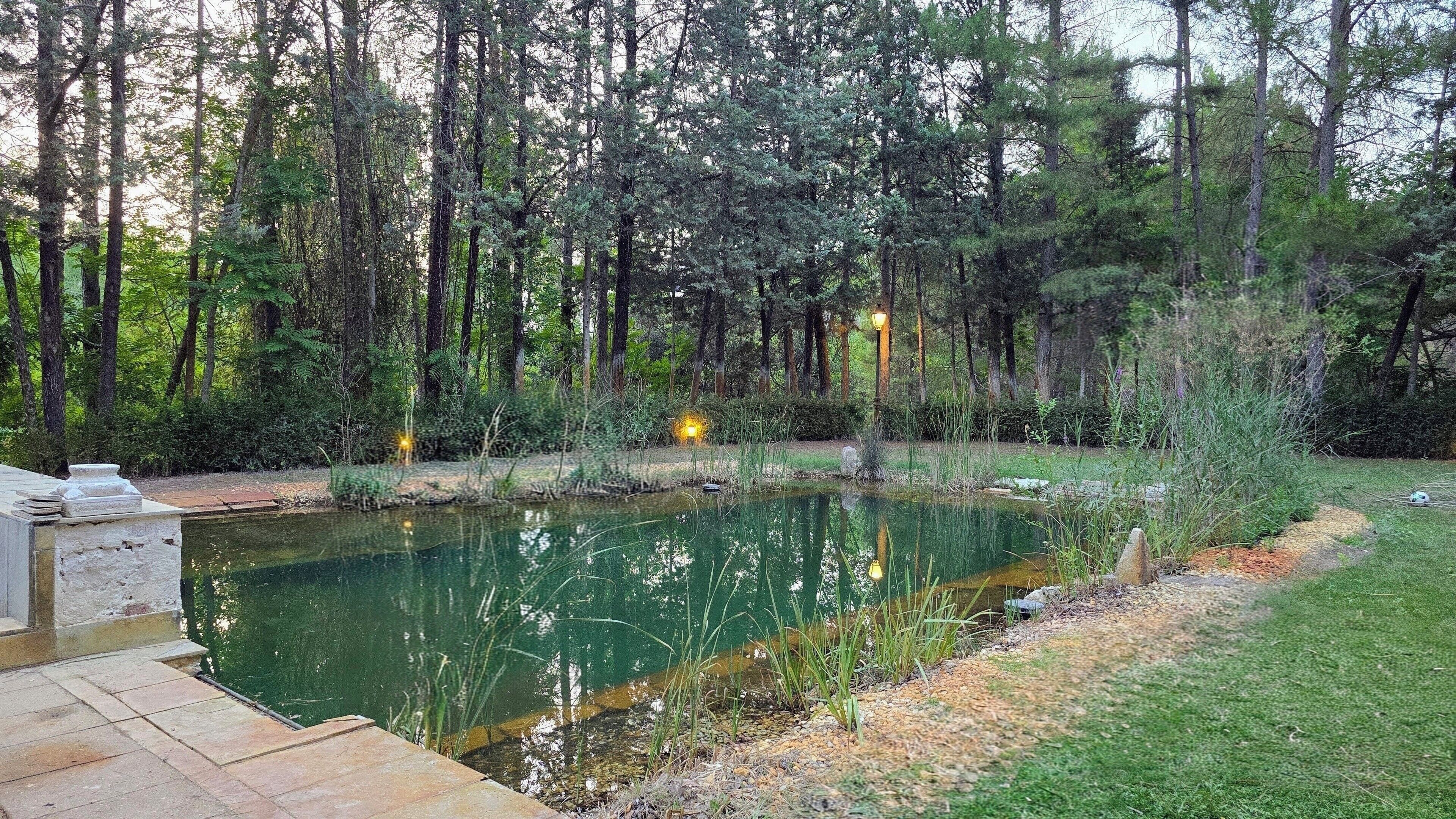 A tranquil outdoor setting with a pond, surrounded by dense trees and a well-maintained lawn.