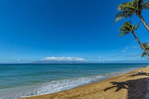 A beach with clear blue water, a sandy shore, and a palm tree.