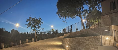 Un camino de grava conduce a un muro de piedra con un árbol a la derecha.