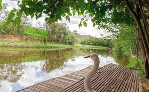 Property grounds - Cabana Mata Verde Pool/Lake - Tomorrowland (Itu)