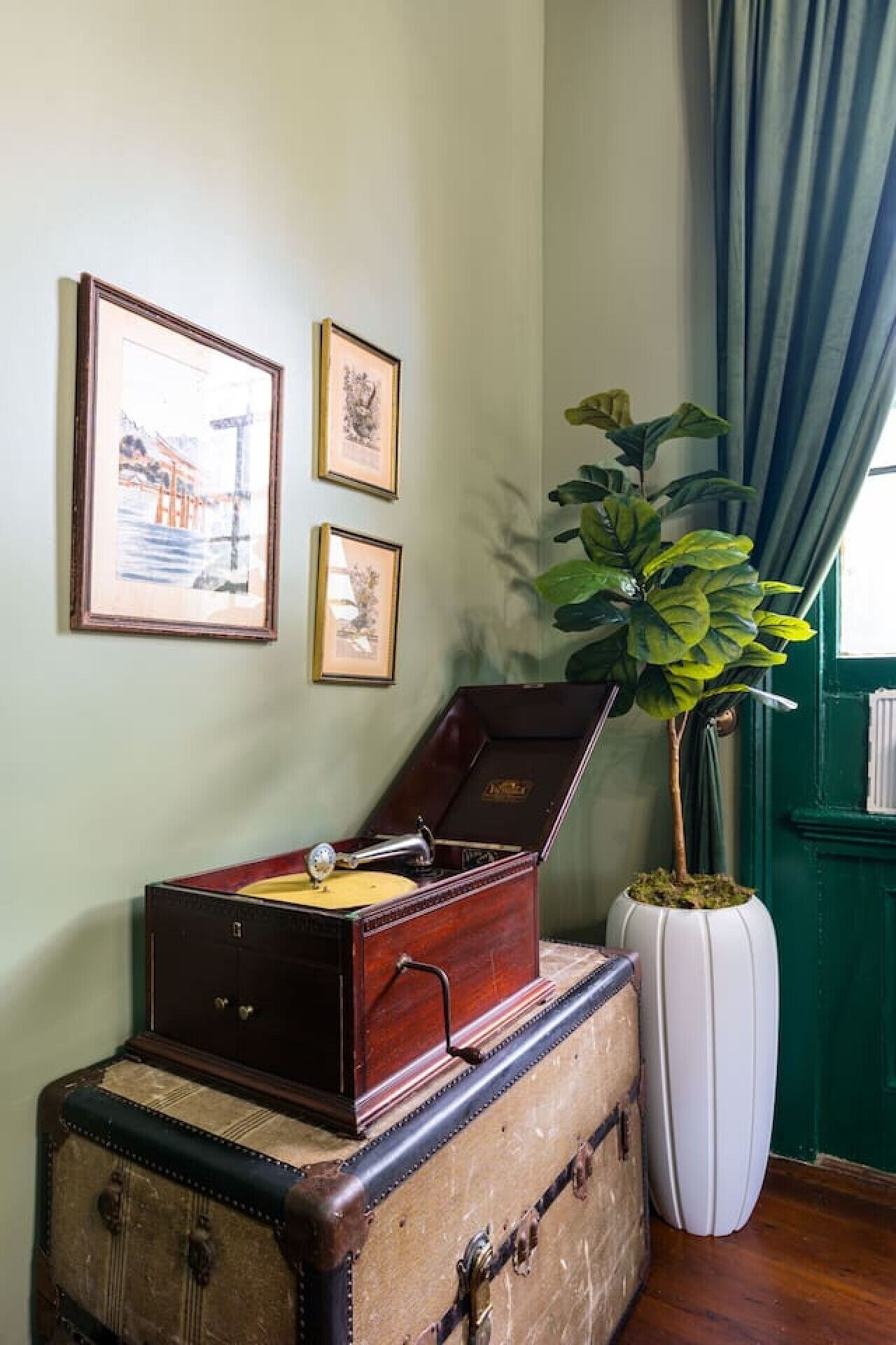 A room with a vintage suitcase, a record player, and a potted plant.