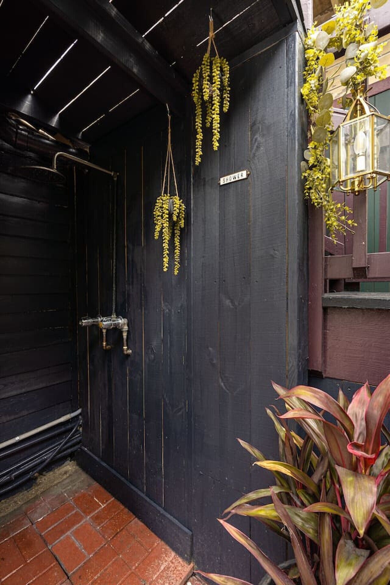 A dark wooden door with a 'SHOWER' sign, a hanging light fixture, and a plant on the right.