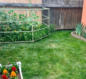 A garden with a raised bed, a wooden fence, and a grassy lawn. - The Cozy Cottage: A Wanderer's Rest (Hot Springs)