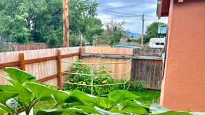 Un jardin avec une clôture en bois, une treille en métal et une variété de plantes.