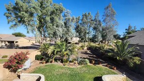 A residential area with a well-maintained lawn, a variety of potted plants, and tall trees. - Legacy Sports Arizona Family Vacation (San Tan Valley)