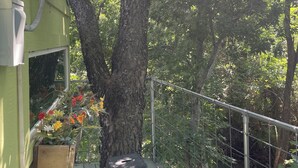 A balcony with a wooden planter box containing flowers, a metal railing, and a tree. - Cozy treehouse ! Great kids experience !Or adult ! Fire pit ONLY SLEEPS 2 (Lavon)