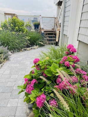 A garden pathway leading to a wooden deck with potted plants and a statue. - Spacious 5-Bedroom house on the bay with large dock and open water, sunset views (Brigantine)