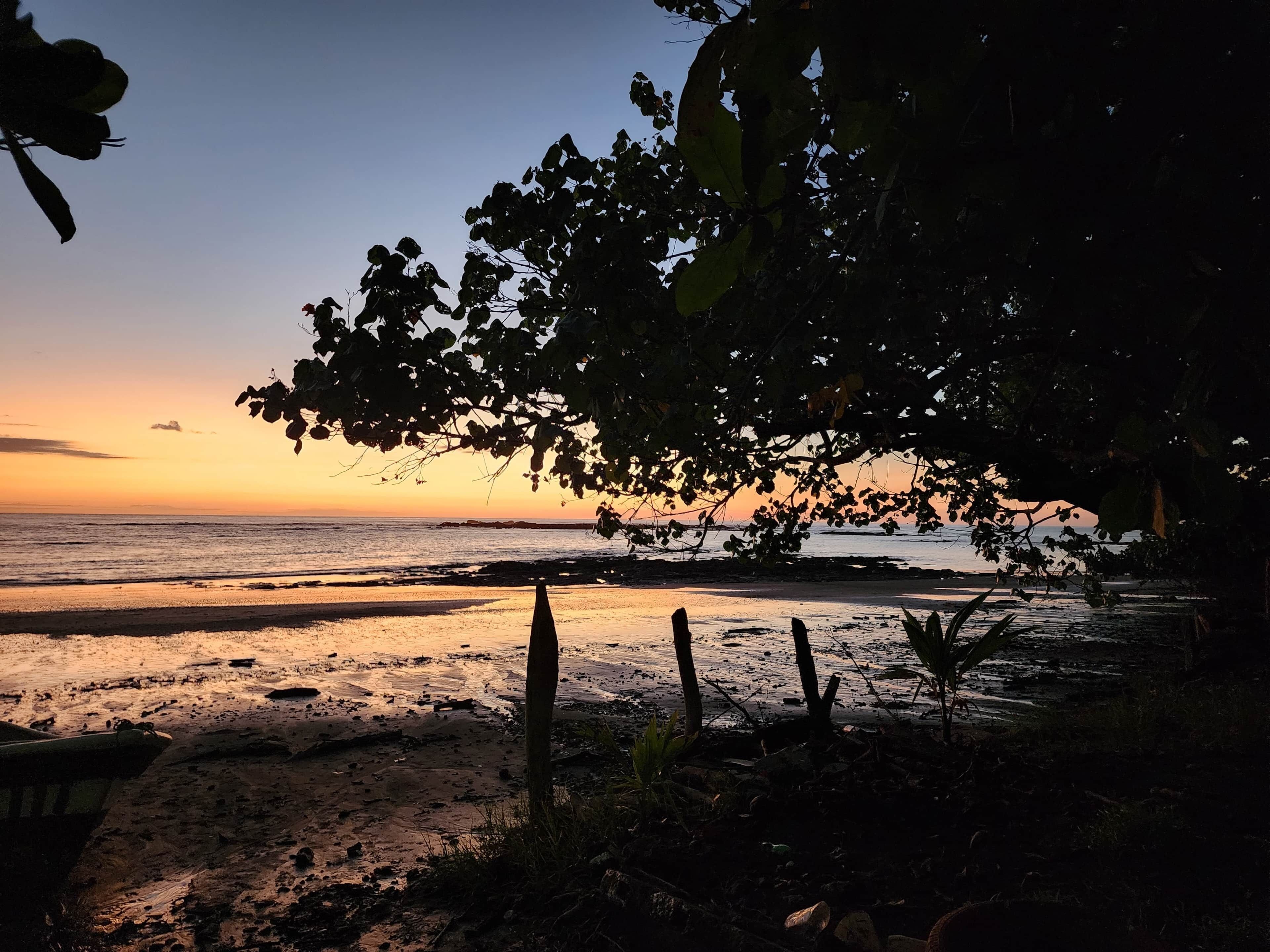 Eine Strandansicht mit einem Baum im Vordergrund und einem Sonnenuntergang im Hintergrund.