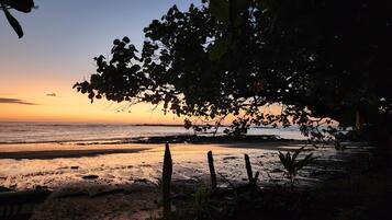 Eine Strandansicht mit einem Baum im Vordergrund und einem Sonnenuntergang im Hintergrund.