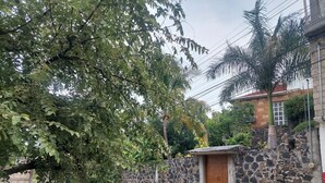A rustic stone wall with a wooden door, a dirt path, and a large tree. - Tranquil 3-bedroom house in joyas de agua  perfect for relaxing courtesy coffee (Emiliano Zapata)