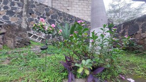 A garden area with flowering plants and a stone wall. - Tranquil 3-bedroom house in joyas de agua  perfect for relaxing courtesy coffee (Emiliano Zapata)
