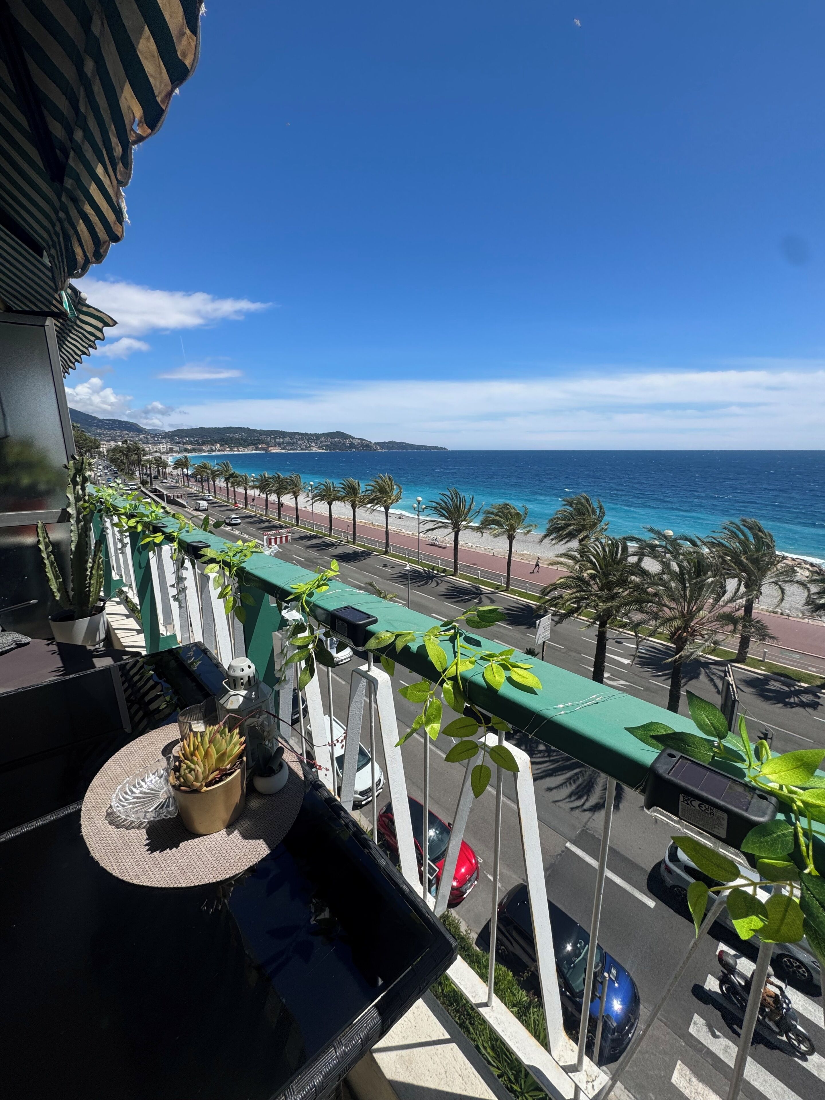 A balcony with a view of the sea, a street with parked cars, and a row of palm trees.