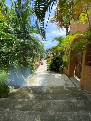 A pathway flanked by lush green foliage, leading to a building with a textured facade. - Villa Violeta- Paradise on La Ropa (Zihuatanejo)