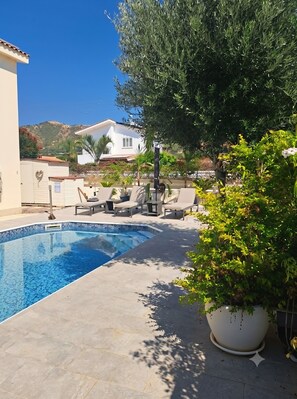 Ein Swimmingpool mit Liegestühlen und einer Topfpflanze.