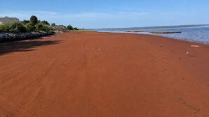 A sandy beach with a clear sky and calm water. - The Coastal Caravan (Alberton)