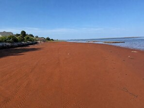 Ranta