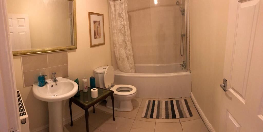 Combined shower/tub, hair dryer, towels, soap