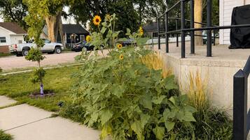 A residential area with a sidewalk, a covered porch, and a variety of vegetation including sunflowers.