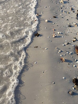 A sandy beach with waves lapping at the shore, scattered seashells, and seaweed. - Siesta Sands Unit 309 (Siesta Key)