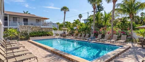 A swimming pool with lounge chairs and palm trees.
