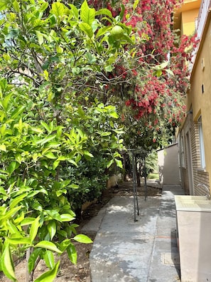 Property grounds - Villa with a Pool, 15 Minutes from Valencia (VC)