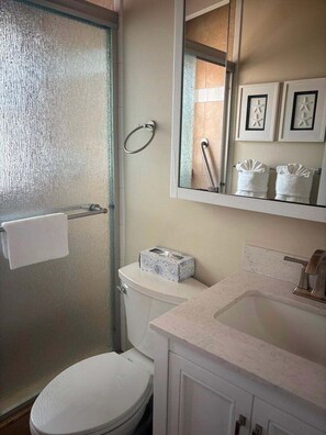 Un baño con inodoro, lavamanos y ducha.