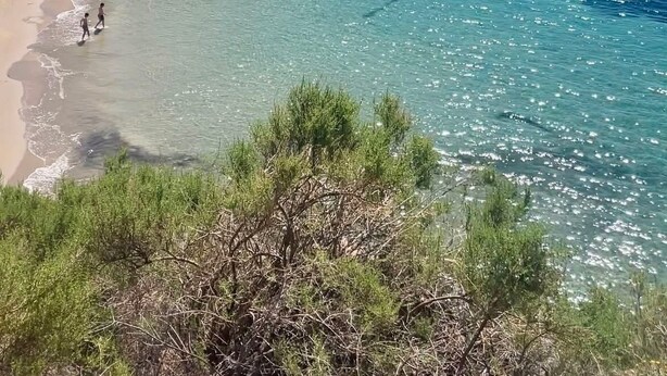 Eine Küstenlandschaft mit klarem Wasser, sandigem Strand, felsigen Klippen und spärlicher Vegetation.