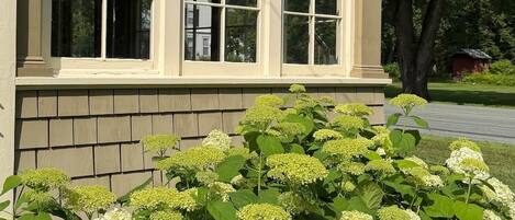 Un bâtiment doté d’une façade à fenêtres et d’un jardin où poussent des hortensias.
