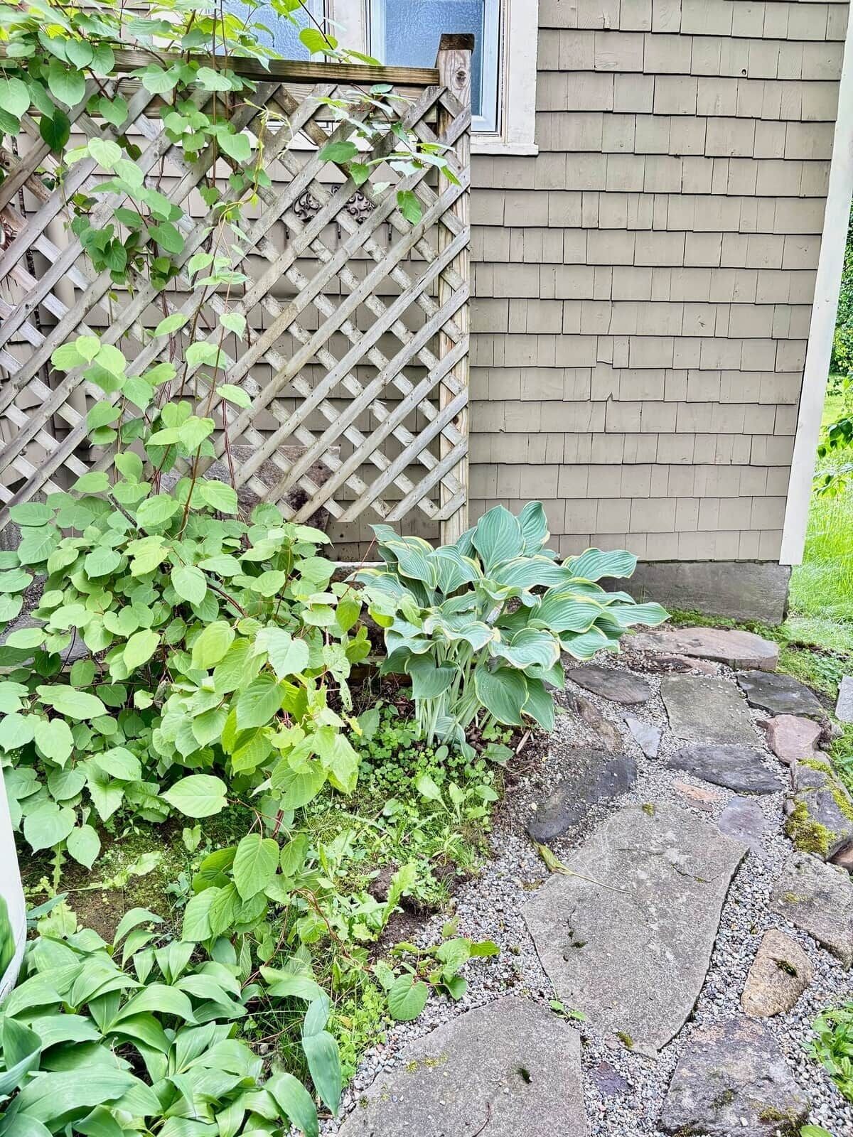A garden with a stone pathway leading to a wooden fence and a brick wall.