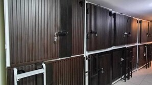 A row of bunk beds with vertical slats, a white ladder, and a metal railing. - Capsule (Mexico City)