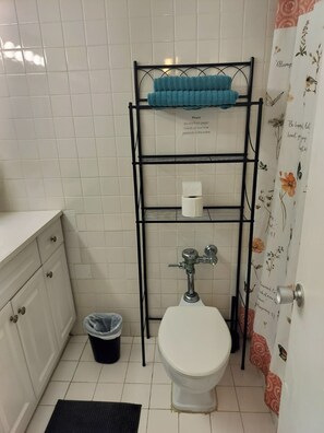 Douche, sèche-cheveux, serviettes fournies, savon