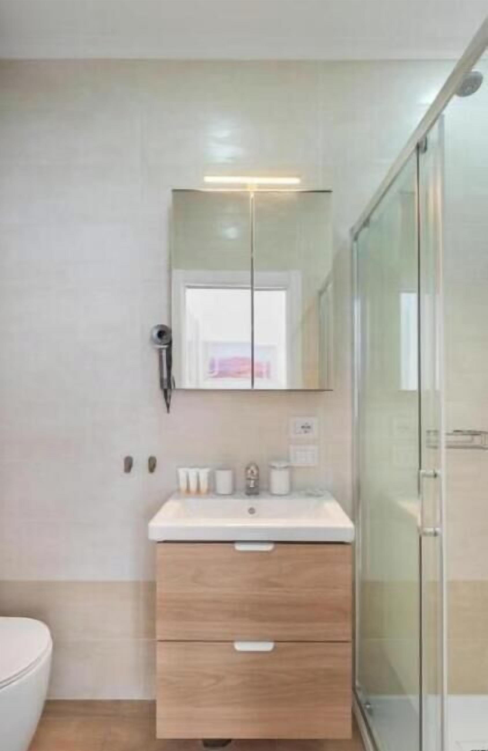 Shower, hair dryer, bidet, towels