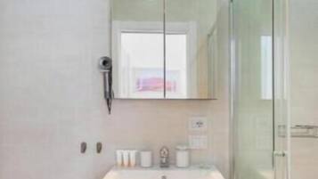 Shower, hair dryer, bidet, towels