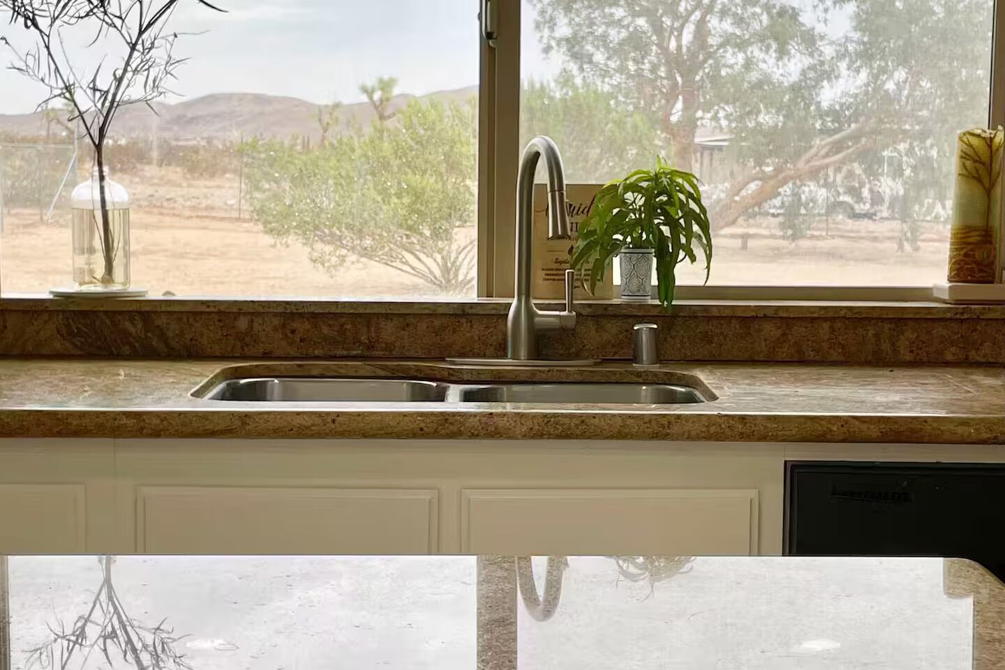A kitchen with a double sink, a window with a view of a desert landscape, and a potted plant on the windowsill.