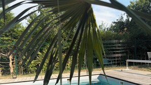 A swimming pool with a wooden deck and palm leaves in the foreground.