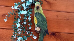 A wooden surface with a decorative bird and a colorful sign.