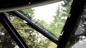 A view through a window with a geometric frame, a grassy area, and a potted plant. - Evergreen Escape | Private Glass Dome, Sauna & Forest Views (Redmond)
