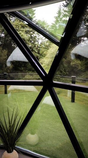 A view through a window with a geometric frame, a grassy area, and a potted plant. - Evergreen Escape | Private Glass Dome, Sauna & Forest Views (Redmond)