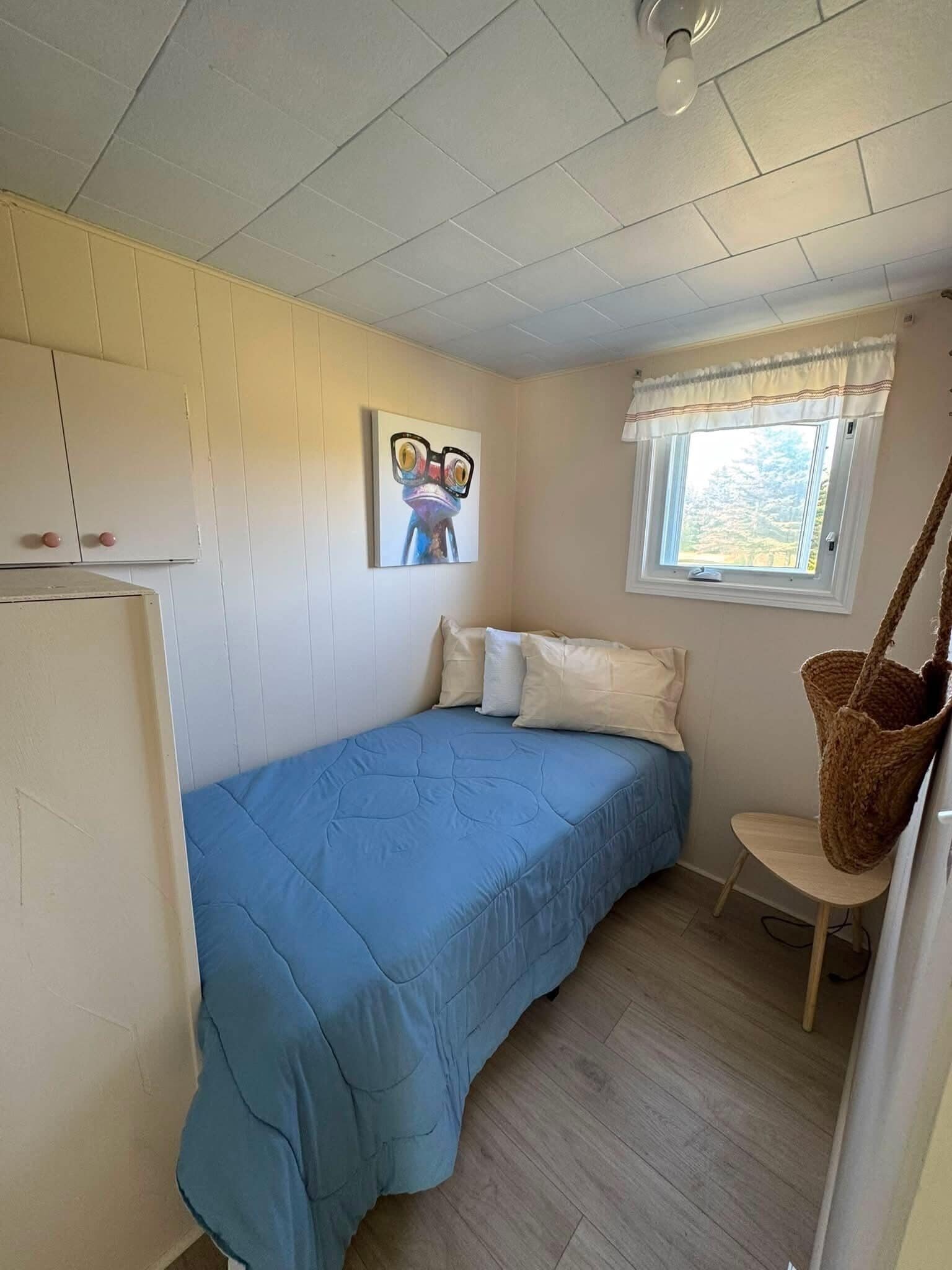 A small, single-bed room with a blue bedspread, a window with a white valance, a hanging basket, and a wall-mounted picture.