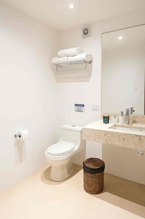 A modern bathroom with a toilet, sink, and mirror. - House in Centro: Pool, Garden, Terrace, and Rooftop (Mérida)