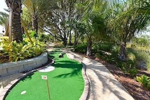 Ein Minigolfplatz mit grünem Putting-Bereich, Loch Nummer 14, umgeben von Palmen und Sträuchern.