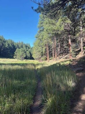 Miscellaneous - Hotevilla Hideaway  Cozy Cabin Retreat (Flagstaff)