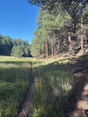 Miscellaneous - Hotevilla Hideaway  Cozy Cabin Retreat (Flagstaff)