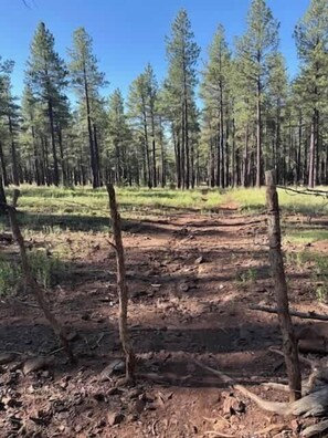 Miscellaneous - Hotevilla Hideaway  Cozy Cabin Retreat (Flagstaff)