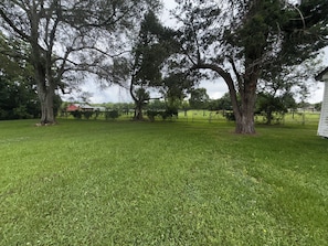 A grassy outdoor area with trees and a fenced field.