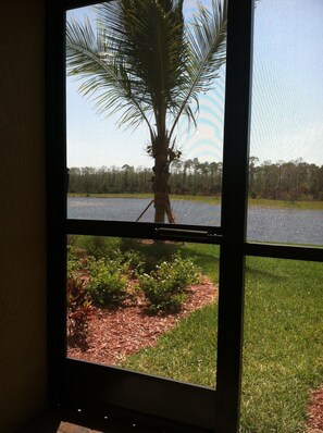 A window with a view of a palm tree, a road, and a grassy area. - Cozy 2-bedroom condo in delightful Naples with AC and fitness room (Naples)