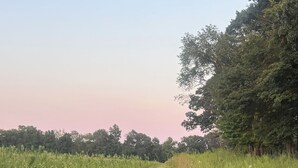Een begroeiing pad dat door een veld loopt, met bomen aan één kant.